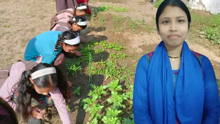 The School Garden 