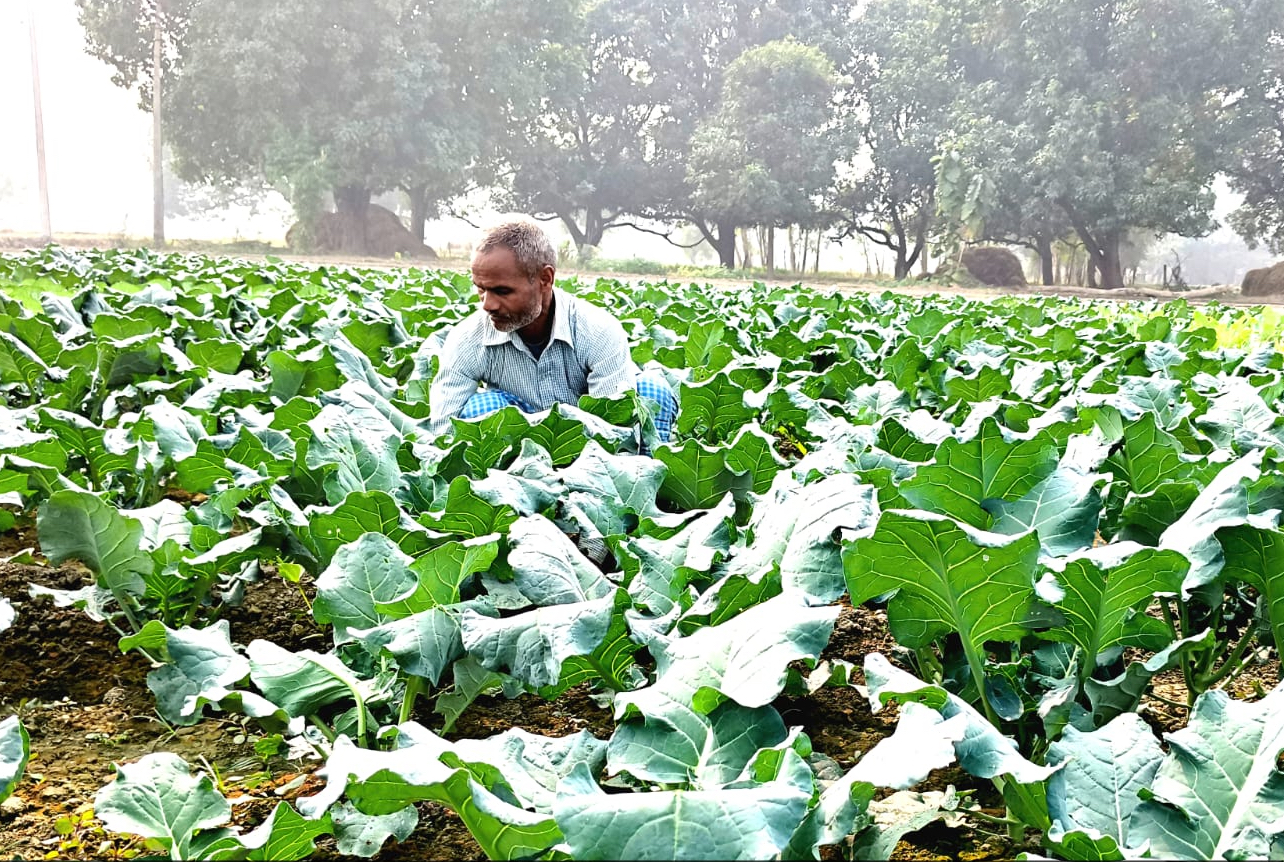 World Environment Day 2026: From Awareness to Action 